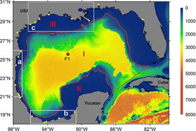 Chlorophyll response to wind and terrestrial nitrate in the western and southern continental shelves of the Gulf of Mexico